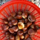 원더팜민박 이미지