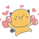 왕십리 고양이 위너펫 24시 이미지