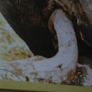 황강목욕탕 이미지