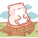 아띠펫살롱 이미지