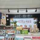 메고지고효정점