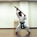 심검도