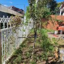 파평초등학교 이미지