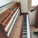 상남동121 이미지