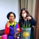 생활원예(반려식물) 이미지