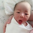 산골초가 이미지