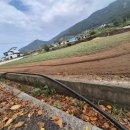 수성농장 이미지