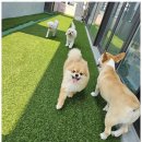 칠곡유치원 이미지