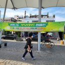그린라이트