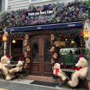 땡큐베리(Thankyou berry) 이미지