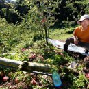 재림농장 이미지