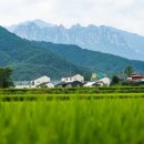 바른땅공인중개사사무소 이미지