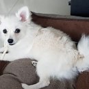 행복플러스동물병원 이미지