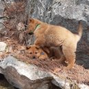 북면 종합복지회관 이미지