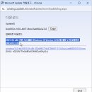 윈도우즈D 이미지
