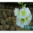 마비정 누리길 이미지