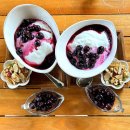 도린 | [제주]&lt;도린곁&gt;-오라동 블루베리 수제 요거트 맛집, 제주 채광 좋은 카페 추천