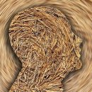 몸 사용 설명서 이미지