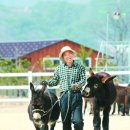 동키캐슬 캠핑장 이미지