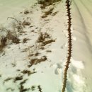 정하농장 이미지