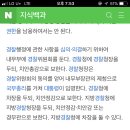 경찰서장 계급 이미지