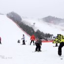 럭스파크 이미지