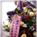 여성메디파크병원 이미지