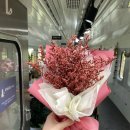 플레르가든스튜디오 이미지