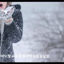 롯데로렌바이랄프로렌