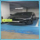 투투렌트카 이미지