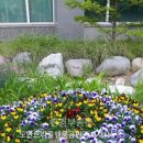 트리풀시티최고공인중개사사무소 네이버블로그