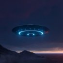 덕천리전*균태양광 | 발리 우붓 한달살기: 칩거와 독서(feat. 생명의 탄생)