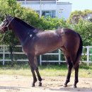 제이에스초이스 이미지