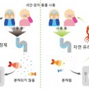 유엔비즈 이미지