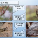 겨울나기 생태수업 이미지