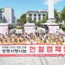 나라평화사진관