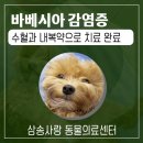 삼송사랑 동물의료센터 이미지