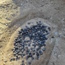 미동농장 이미지