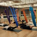 요가디야 이미지