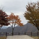 동강전망휴양림오토캠핑장 | 열여섯번째 캠핑(11월), 동강전망 휴양림 캠핑장