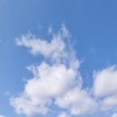 견내량민박 이미지