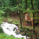 "자연 속 숲에서의 힐링 체험"… 6월에 떠나기 좋은 숲캉스 여행지 4곳 이미지