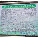 동백 유기농원 네이버블로그