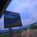 질라짐 | 고성 라벤더 축제 하니라벤더팜 후기 6월에만 열리는 강원도 라벤더 명소