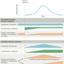 Re: 구성적 면역기전... 2020 네이처!! 이미지