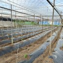 재욱농장 이미지