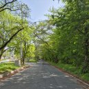 마동 탑마을 이미지