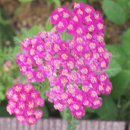 시흥약국 이미지