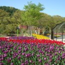 오-월드 이미지