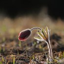 상서초교 이미지